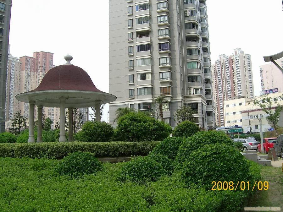 虹口区浦江名邸三房二厅二卫出租�