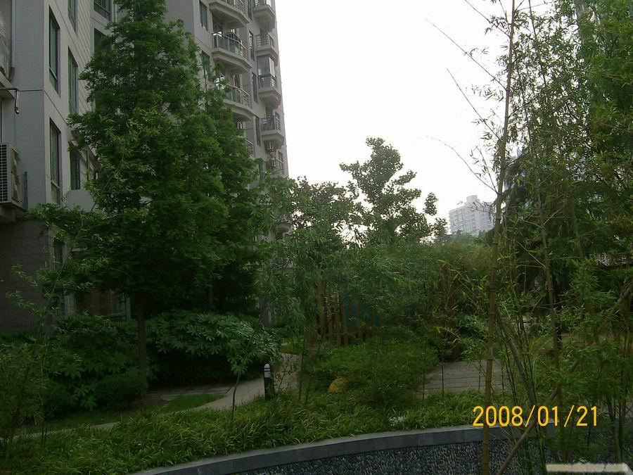 四川北路国际名佳城一房一厅出租�