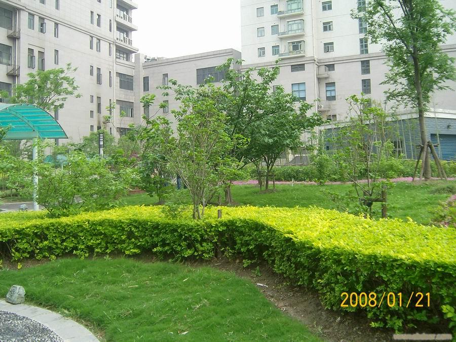四川北路凯润金城一房二厅出租�