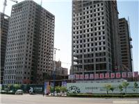 上海建筑模板供应商