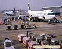 国内航空货运服务 宠物航空快运 大件托运 上海到拉萨空运