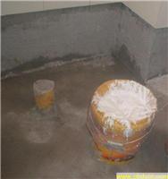 卫生间防水专业项目