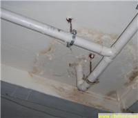 卫生间防水找百分百