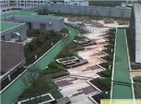 供应种植屋面防水