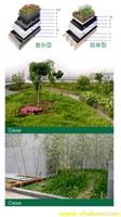 专业种植屋面防水