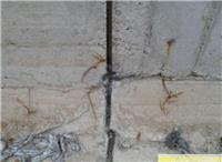 地下室防水电话，地下室联系人，防水公司地址，地下室,沉降缝堵漏需注意