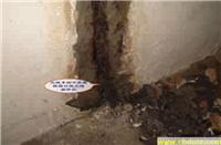 上海沉降缝堵漏项目,上海防水公司，公司防水补漏，外墙防水电话