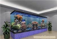 上海各种壁挂式鱼缸设计与订做