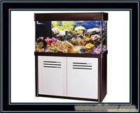 上海海水鱼缸专卖 上海海水鱼缸 水族箱定做