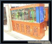 上海专业鱼缸 水族箱护理 清洗，水草造景托管