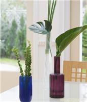 花卉租赁怎么选择