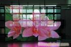 户外   显示屏   led