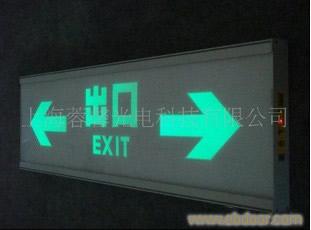 集中控制型消防应急标志灯【智能型应急疏散灯】