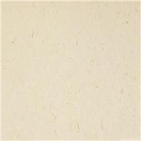 丽宝第 彩丽304号颜色