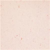 丽宝第 彩丽303号颜色