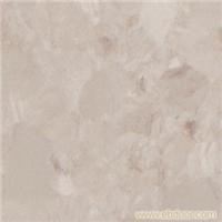 丽宝第 英丽823号颜色