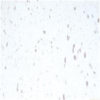 丽宝第 科丽317号颜色