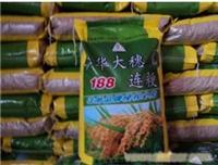 小麦种子供应部