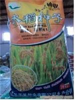 小麦种子