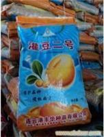黄豆种子出口厂家