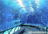 水族馆工程 专业水族馆工程建设