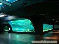 上海水族工程建设  上海专业水族工程建设