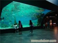 龙轩镶嵌式鱼缸工程 定大型压克力水族工程 定大型压克力水族工程电话号码/联系方式