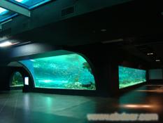 上海水族馆 上海水族馆设计价格 上海专业水族馆设计 上海专业水族馆设计公司——上海红珊瑚科技发展有限公