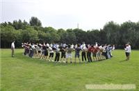体育营销策划