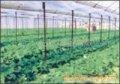 塑料薄膜（农用膜）-上海塑料薄膜生产厂家