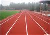 球场设计施工 PU跑道 上海游乐设备 上海泳池设备