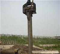 12米拉森钢板桩/拉森钢板桩租赁