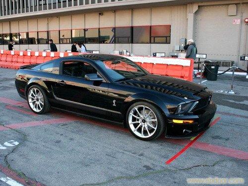 福特野马 shelbyGT500 电话13524707857