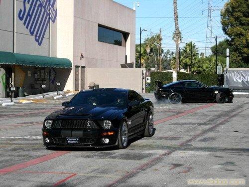 福特野马 shelbyGT500 电话13524707857