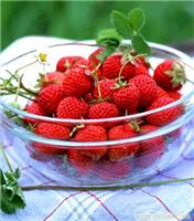 草莓/草莓的营养价值