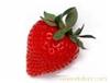 草莓的营养价值/草莓有哪些的营养价值