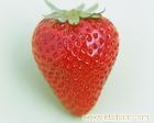 草莓的价值/草莓的适宜人群