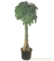 上海室内绿化植物