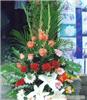 上海室内花卉租摆价格