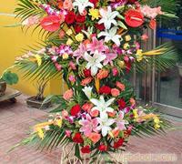手捧花4