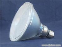 6W led PAR38灯