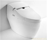 和成卫浴/和成卫浴报价/智慧型全自动座便器 - AFC233T