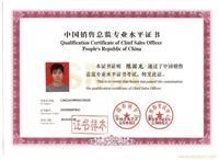 中国销售总监证书—上海职业教育机构