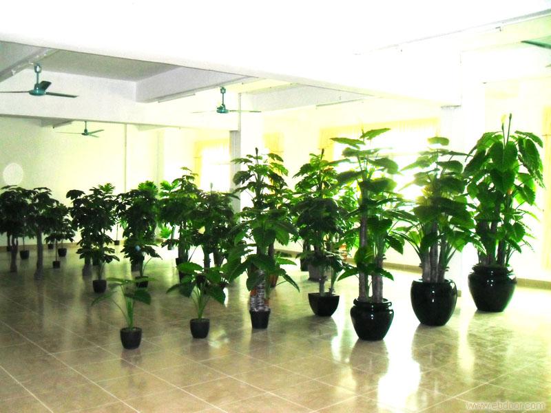 上海仿真植物