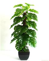 上海仿真植物厂