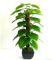 上海仿真植物批发