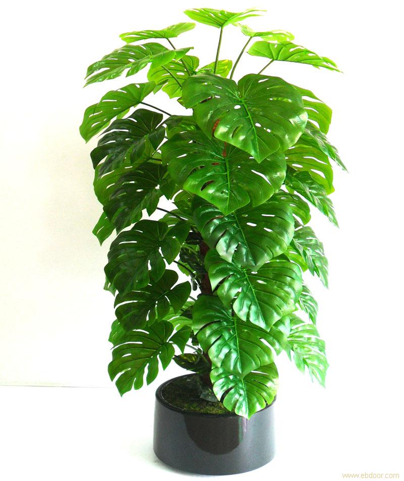 上海仿真植物批发价格