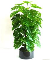 上海仿真植物批发价格