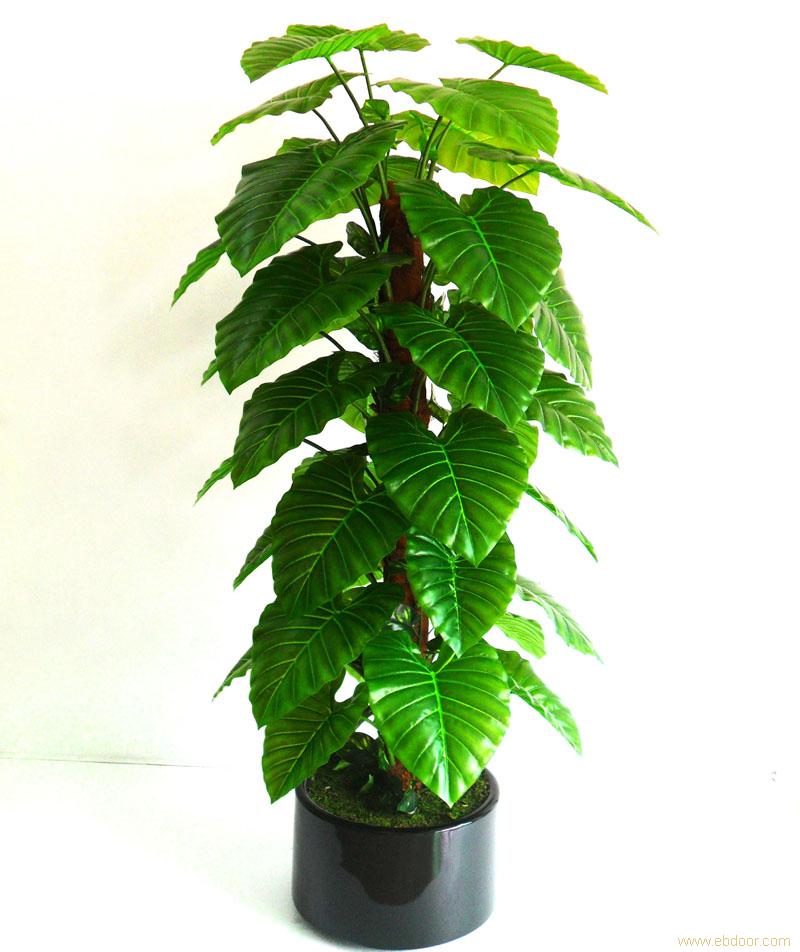 上海仿真植物供应商