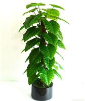 上海仿真植物供应商